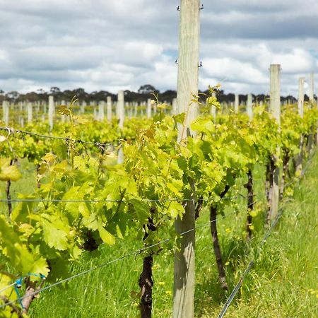 Willa Silkwood Estate Pemberton Zewnętrze zdjęcie