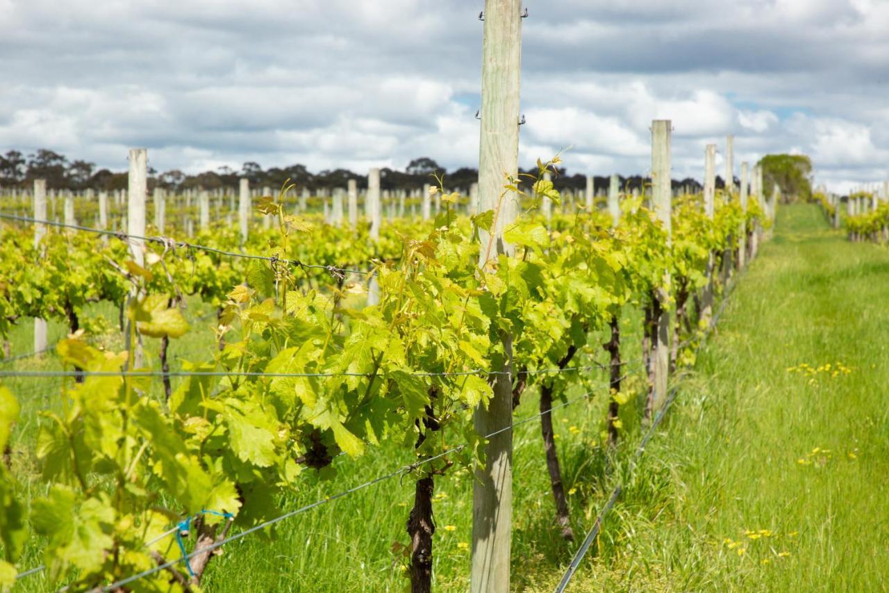 Willa Silkwood Estate Pemberton Zewnętrze zdjęcie