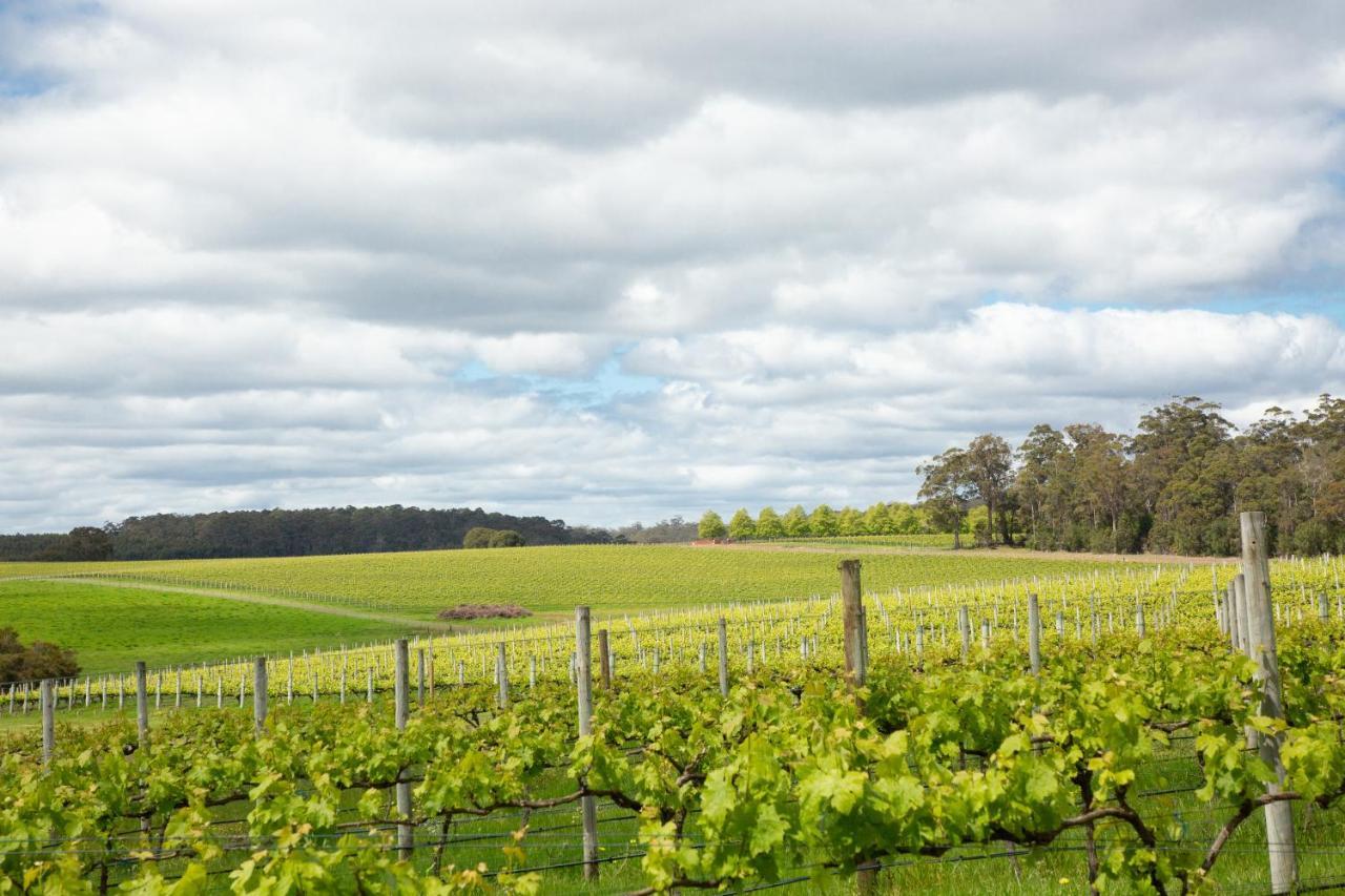 Willa Silkwood Estate Pemberton Zewnętrze zdjęcie